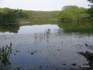 Waterfron