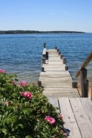 Oak Bluffs Waterfront dock