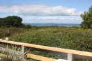 Aquinnah Dogfish Bar View