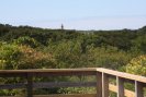 Aquinnah Dogfish Bar View