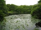 Aquinnah Skye Lane Pondview